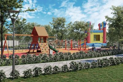 ���� �����